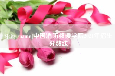 六安中国消防救援学院2021年招生分数线