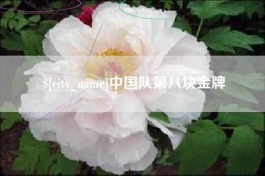 六安中国队第八块金牌
