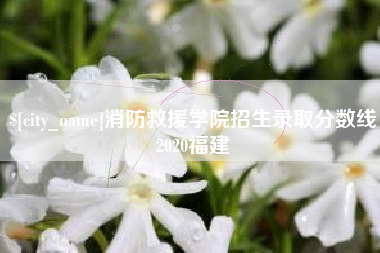 六安消防救援学院招生录取分数线2020福建