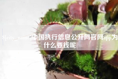 六安中国执行信息公开网官网app为什么要钱呢