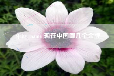 六安现在中国哪几个金牌