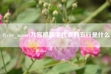 六安九宫格数字代表的五行是什么
