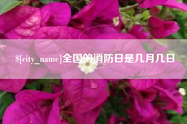 六安全国的消防日是几月几日