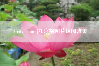 六安九宫格图片组图唯美