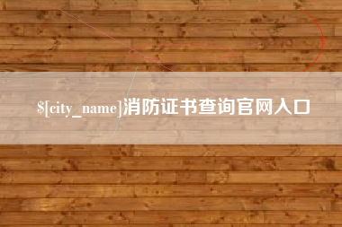 六安消防证书查询官网入口