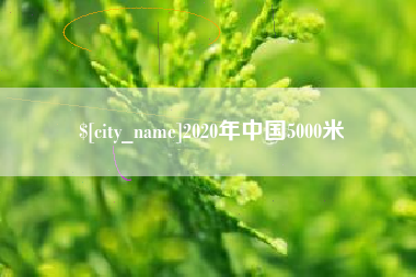 六安2020年中国5000米
