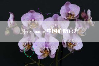 六安中国消防官方