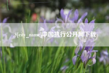 六安中国执行公开网下载