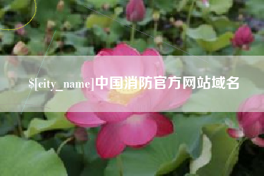 六安中国消防官方网站域名
