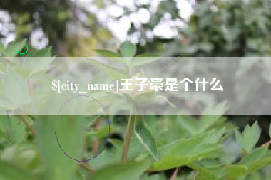 六安王子豪是个什么
