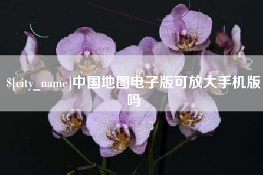 六安中国地图电子版可放大手机版吗