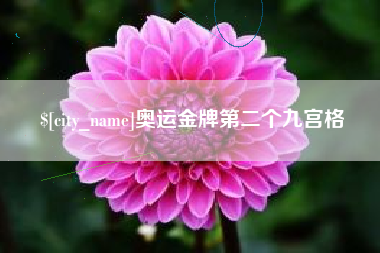 六安奥运金牌第二个九宫格