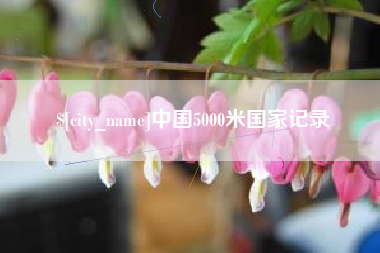 六安中国5000米国家记录