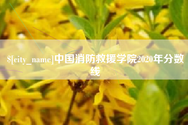 六安中国消防救援学院2020年分数线