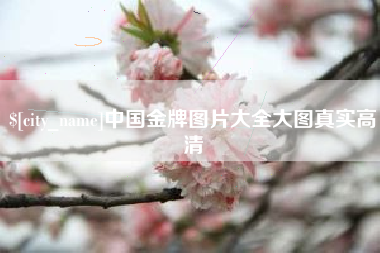 六安中国金牌图片大全大图真实高清