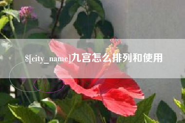 六安九宫怎么排列和使用