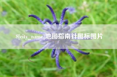 六安地图指南针图标图片