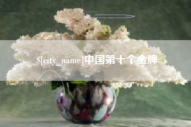 六安中国第十个金牌