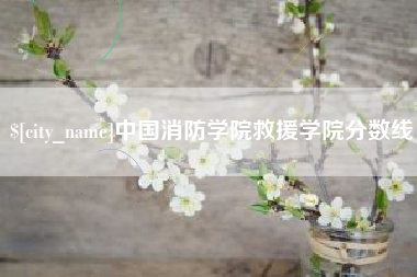 六安中国消防学院救援学院分数线