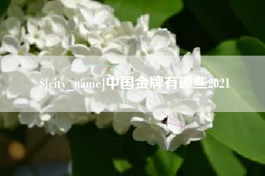 六安中国金牌有哪些2021
