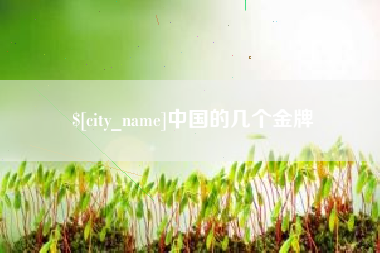 六安中国的几个金牌