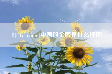 六安中国的金牌是什么样的