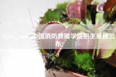 六安中国消防救援学院招生章程公布!