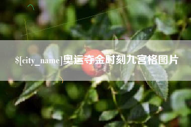 六安奥运夺金时刻九宫格图片