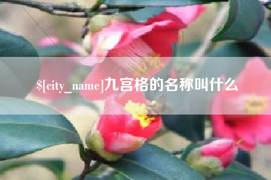 六安九宫格的名称叫什么
