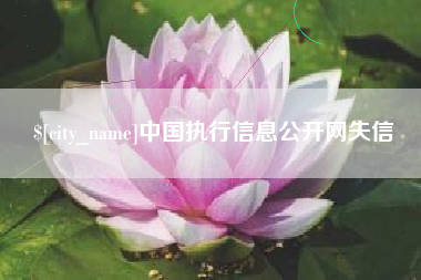 六安中国执行信息公开网失信