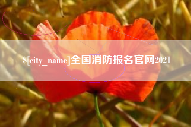 六安全国消防报名官网2021