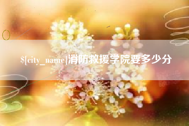 六安消防救援学院要多少分