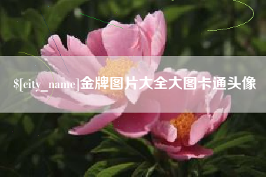 六安金牌图片大全大图卡通头像