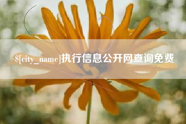 六安执行信息公开网查询免费