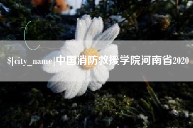 六安中国消防救援学院河南省2020